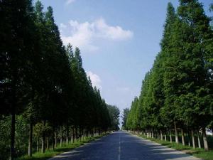 ˮɼ,ʯ��ׯ����,޻������,ʯ��ׯ��ƺ,޻�ǲ�ƺ,ʯ��ׯ��ľ,޻����ľ,ʯ��ׯ�̻���ľ,޻���̻���ľ,ʯ��ׯ��ľ����,޻����ľ����,������ľ,�����̻���ľ,���ݲ�ƺ,��������